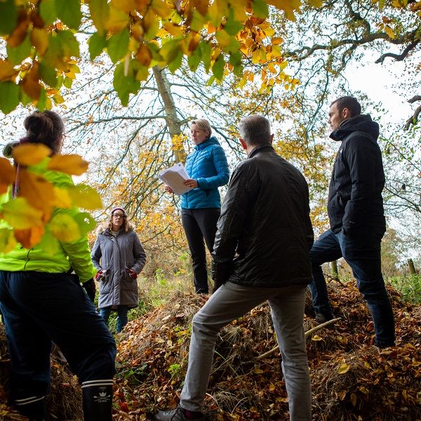 Group discussion in autumnal trees 